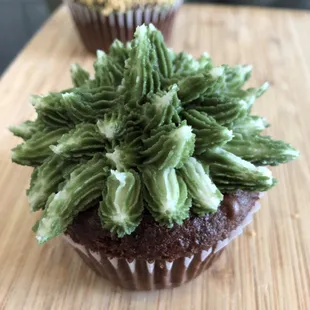 Succulent cupcake