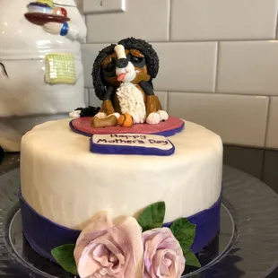 Bernese Mountain Momma