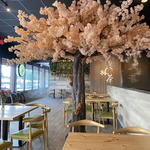Restaurant Interior