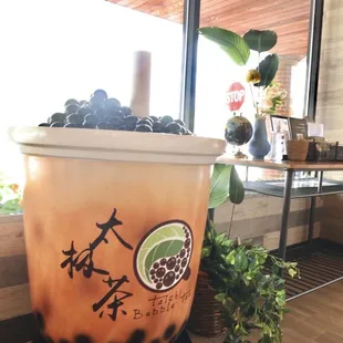 drink
