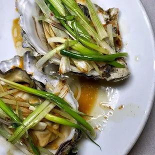 two oysters on a white plate