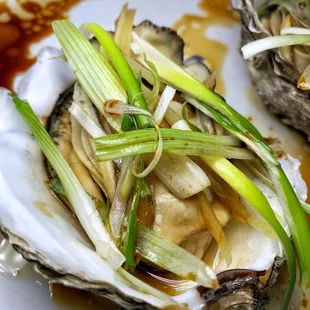 two oysters on a white plate