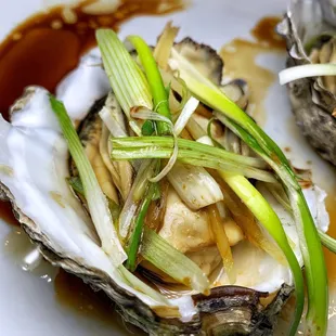 two oysters on a white plate