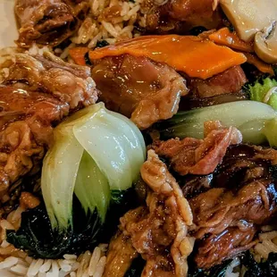 Beef Stew on Rice