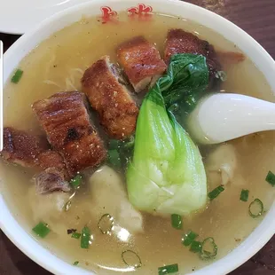 Duck Wonton Noodles Soup