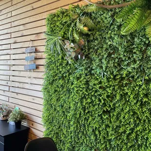 a living wall with plants and plants growing on it
