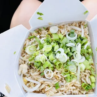 Fried rice: Chicken With Green Onion