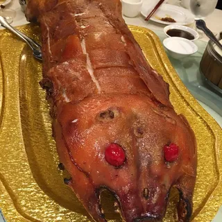 Suckling Pig