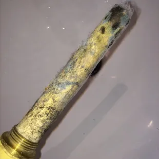 This is the hookah that they serve at this place called TAIGA as you can see it has mold growing inside and outside of it.