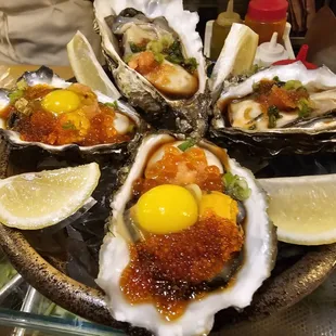 oysters and mussels, shellfish, oysters, mussels, food