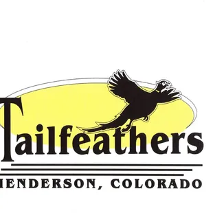 the tail feathers of a bird