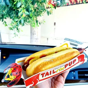 1976 Pup.  Look closely...can you see his little tail? :) - Tail O' the Pup.  West Hollywood, CA.  2023