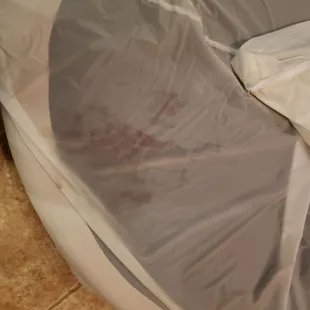 The blood stain from when my pet stayed at Tail Topia. But the staff couldn&apos;t give my pet its meds for the problem.