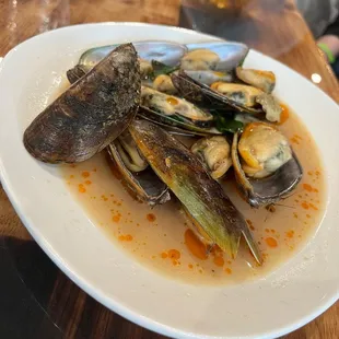 oysters, oysters and mussels, shellfish, food, mussels