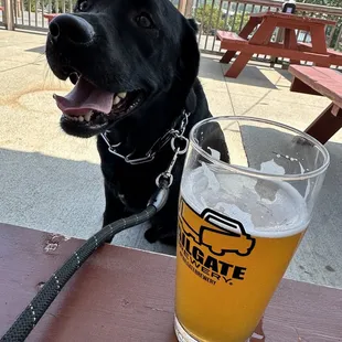 Watermelon Wheat Beer