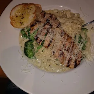 Chicken Alfredo.. or substitute chicken for shrimp for $3 more
