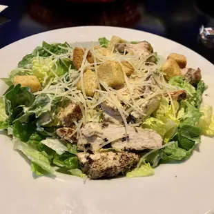 Full chicken Caesar salad ... lots of chicken and just a great Caesar salad all around.