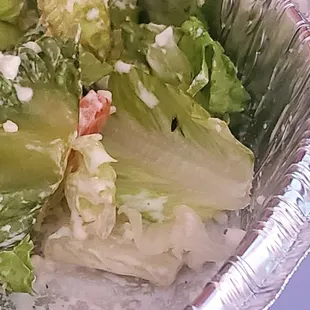 Close up of bug in salad