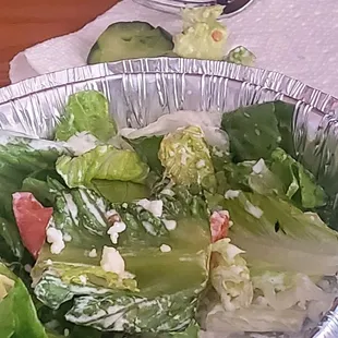 BUG IN SALAD