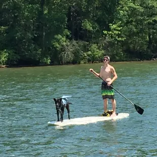 My son teaching the pup to paddle board