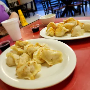 Pan Fried Dumplings