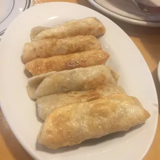 Homemade Pot Stickers