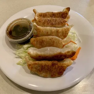 Pot Stickers