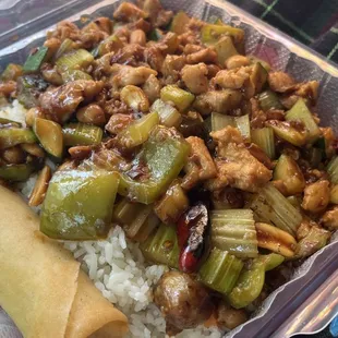 Kung Pao Chicken (1)
