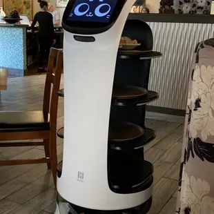 Robot!  Really cool to watch!!
