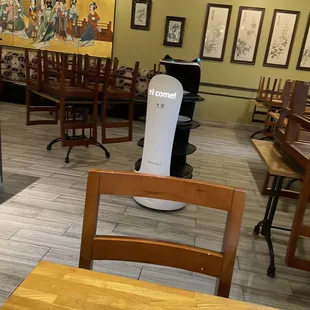 Robot server cat rolling away