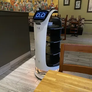 Robot server cat