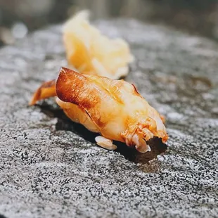 Sea Urchin Tofu