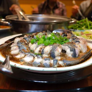 eel