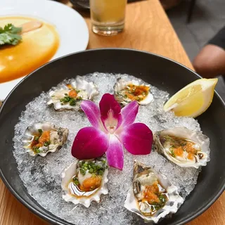 Kumamoto Oysters