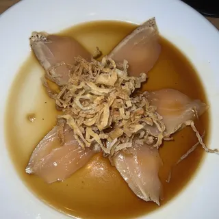 Albacore