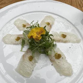 Red Snapper