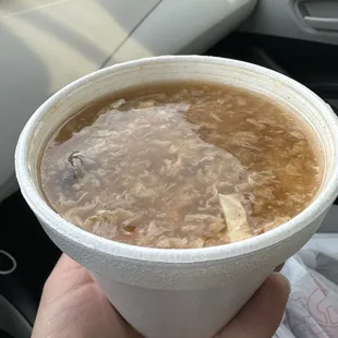 Hot and B2. Hot &amp; Sour Soup