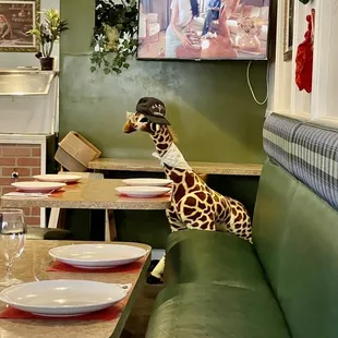 Eating w/ a giraffe , full of spices!