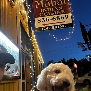 This is our go to place for Indian food. Wonderful food and great people!    Ruby says hell yeah!
