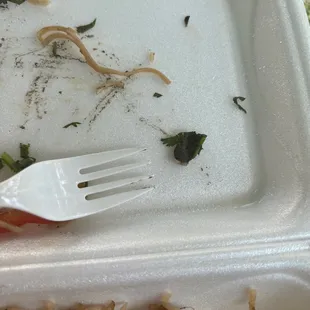 Parsley with dirt unwashed inside the dish Disgusted