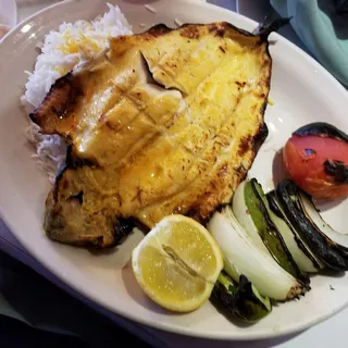Trout Fish