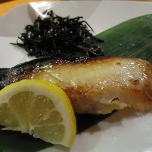 Black Cod