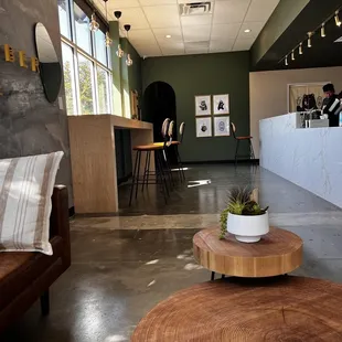 a coffee table with a potted plant on it