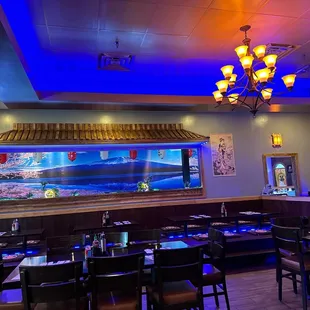 interior, sushi and sashimi