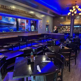 Sit down sushi restaurant &amp; robot sushi.