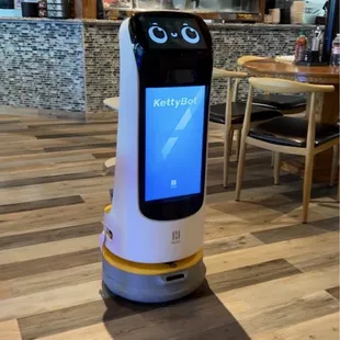 Food delivery robot