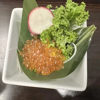 Sashimi