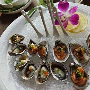 mussels, oysters, food, oysters and mussels, shellfish