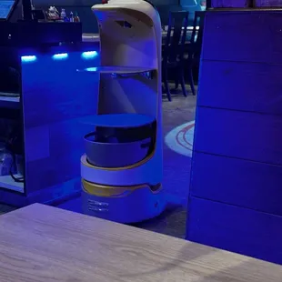 Robot, to bring food