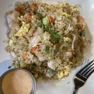 Shrimp Fried Rice Lunch